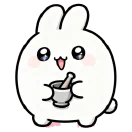 药伴